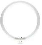 PHILIPS MASTER 2GX13 TL5 Circular Leuchtstofflampe 22W 3000K warmwei&szlig;es Licht