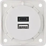 Berker 926202509 USB Lade-Std.,2f,3A, A+C, ITG, pw matt