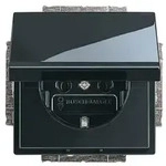 Busch-Jaeger 20 EUK-81 SCHUKO&reg; Steckdosen-Einsatz mit Klappdeckel