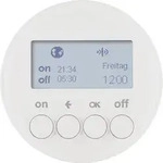 Berker 85745239 KNX-Funk Zeitsch.uhr quickl R.1/R.3 pw