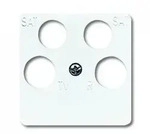 Busch-Jaeger 1743/10-04-214 Zentralscheibe 50 x 50 mm