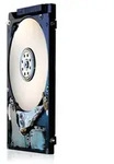 HGST Travelstar Festplatte - 2,5" Intern - 320 GB - SATA (SATA/300) - 7200U/Min