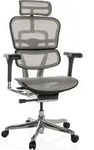 hjh OFFICE Luxus Chefsessel ERGOHUMAN GEN2 Ergonomischer B&uuml;rostuhl mit Armlehnen