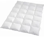 Traumschlaf Daunendecke Arktis extra warm, F&uuml;llung: 90% Daunen, 10% Federn 135x200
