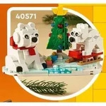 LEGO Iconic Eisb&auml;ren im Winter, Bausatz, 9 Jahr(e), Kunststoff, 0 St&uuml;ck(e), 246 g