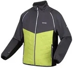Regatta Steren Hybrid Softshelljacke f&uuml;r Herren mit abnehmbaren &Auml;rmeln, Gr&ouml;&szlig;e:M,