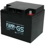 Fiamm FG24204 12V 42Ah Blei Akku / Blei Akku / AGM Blei Vlies VdS