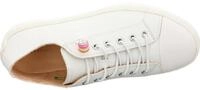 Sneakers Low