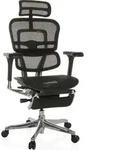hjh OFFICE Luxus Chefsessel ERGOHUMAN PLUS LEGPRO GEN2 Ergonomischer B&uuml;rostuhl mit