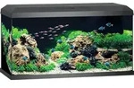 Juwel Aquarium Primo 110 LED 2.0 inkl. Abdeckung, Bioflow Super Filter, Eccoflow