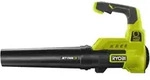 MAX POWER Akku-Laubgebl&auml;se RY36BLA-0, 36Volt (gr&uuml;n/schwarz, ohne Akku und
