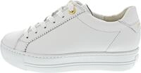 Paul Green 5241007 (4.5/white)