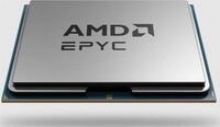 AMD EPYC 8224P, AMD EPYC, Socket SP6, Einschub, AMD, 8224P, 2,55 GHz