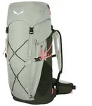 SALEWA Alp Trainer 35+3 L Rucksack grau - Gr&uuml;n