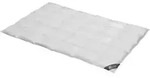 Daunendecke 200x200 cm 100 % G&auml;nsedaunen Bettdecke Steppdecke Daunen SPESSARTTRAUM