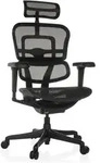 hjh OFFICE Luxus Chefsessel ERGOHUMAN SIGNATURE GEN2 Ergonomischer B&uuml;rostuhl...