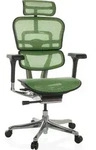 hjh OFFICE Luxus Chefsessel ERGOHUMAN GEN2 Ergonomischer B&uuml;rostuhl mit Armlehnen