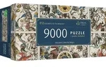 Puzzle 9000 Uft Alte Himmelskarten 81031