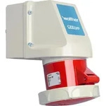 Walther Werke Wandsteckdose 16A 119 - Rot
