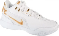 Nike FJ1566103, Schuhe Nike Lebron Nxxt Gen FJ1566103 Schwarz Herren