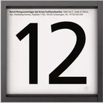 SIED Informations Modul IM 612-0 AG anthrazitgrau 04927