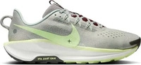 Nike DV3864-004, Nike Pegasus Trail 5 Light Silver College Grey Dark Team Red Barely
