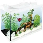 Tetra Aquarium Starter Line LED 80 L wei&szlig;