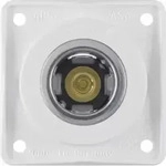 Berker 845712509 Power-Steckdose 12 V polarwei&szlig;, gl&auml;nzendIntegro Eins&auml;tze - Wei&szlig;