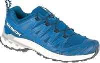 Schuhe Salomon Xa Pro 3d V9 L47817800