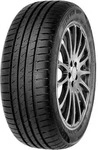 Fortuna Wi car-tyres Gowin UHP ( 205/55 R16 91V )