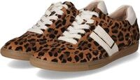 Paul Green Damen Low Sneaker Beige Rauleder Animal Print LeopardGr&ouml;&szlig;e:37