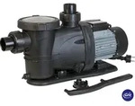 GRE Pool Pumpe 3/4 PS PP077H