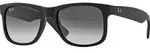 Ray-Ban Justin Classic, Erwachsener, M&auml;nnlich, Wanderer, Quadratisch, Vollrand,