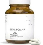 Moleqlar Magtein Magnesium-L-Threonate Kapseln 90 St