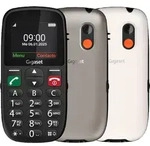 Gigaset GL395, Balken, Single SIM, 5,59 cm (2.2"), 0,3 MP, 800 mAh, Grau - Grau