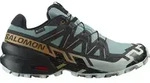 SALOMON SHOES SPEEDCROSS 6 GTX Troope/Black/Wood 000 000 42 - Schwarz/Hellblau/Gold -