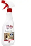 fixil Glassiegel Cleaner Schulte 500 ml