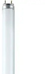 Osram Active Daywhite, 30W, G13, 2400 lm, A, 89,5 cm