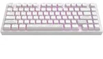 Mechanische Gaming-Tastatur Dark Project ALU81A Terra Nostra Wei&szlig; RGB - Wei&szlig;