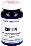 GALL PHARMA Cholin 100 mg GPH Kapseln, 60 St. Kapseln