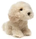 Uni-Toys - Cockapoo, sitzend - 18 cm (H&ouml;he) - Pl&uuml;sch-Hund - Pl&uuml;schtier,