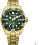 Citizen Promaster Eco-Drive Diver 200M BN0262-59W - Gr&uuml;n