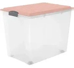 Rotho Aufbewahrungsbox mit Rollen 70L COMPACT - Kunststoffbox je 57,0 x 39,5 x...