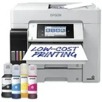 Epson EcoTank Pro ET-5885, Tintenstrahl, Farbdruck, 4800 x 2400 DPI, A4, Direktdruck,