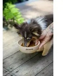 JOSERA Mini Lamm | 900 g | Trockenfutter f&uuml;r kleine Erwachsene Hunde