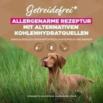 Eukanuba Senior Hundefutter getreidefrei mit Fisch f&uuml;r gro&szlig;e Rassen, Premium...