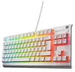 SteelSeries Apex 3 TKL White RGB Gaming-Tastatur &ndash; Kompakter Tenkeyless-Formfakt -