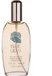 Damenparf&uuml;m Elizabeth Arden Blue Grass (100 ml)