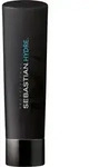 Sebastian Foundation Hydre Moisturizing Shampoo 250ml