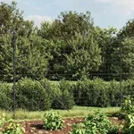 vidaXL Maschendrahtzaun Anthrazit 1,6x10 m Verzinkter Stahl - Grau